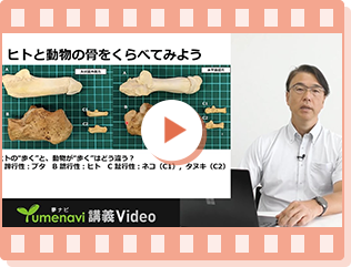 帝京大学　福岡医療技術学部　理学療法学科　壇 順司　講師